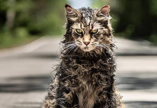 Pet Sematary: Trailers finales
